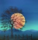 The image for Beautiful Full Moon!!
