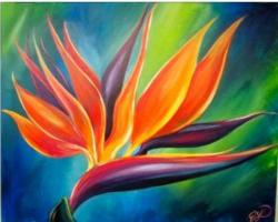 The image for BIRD OF PARADISE