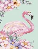 The image for New and spectacular pastel flamingo!