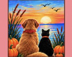 The image for Join us for Dog and Cat Sunset! Proceeds benefiting the Humane Society!