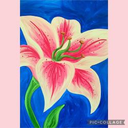 The image for Large and Lovely Hibiscus Over Blue Background!