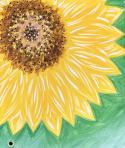 The image for Sunflower!