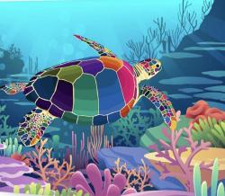 The image for A sea-soned traveler on another coral odyssey!!