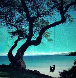 The image for Moonlight Swing