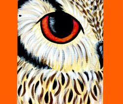 The image for Tiger vs Owl - Make it a couple&rsquo;s paint off!