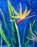 The image for Birds of paradise!