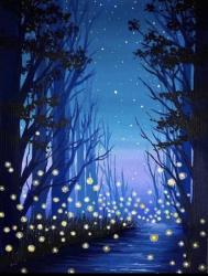 The image for Fireflies on a Summer Night!