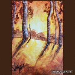 The image for Beautiful Fall Trees in a Wood!